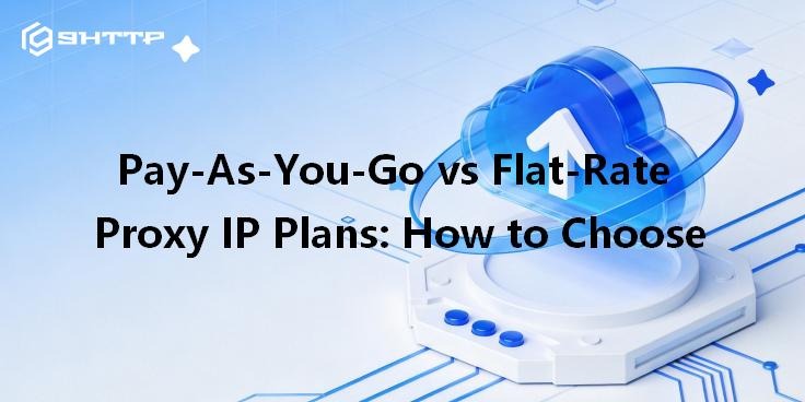 Pay-As-You-Go vs Flat-Rate Proxy IP Plans: How to Choose