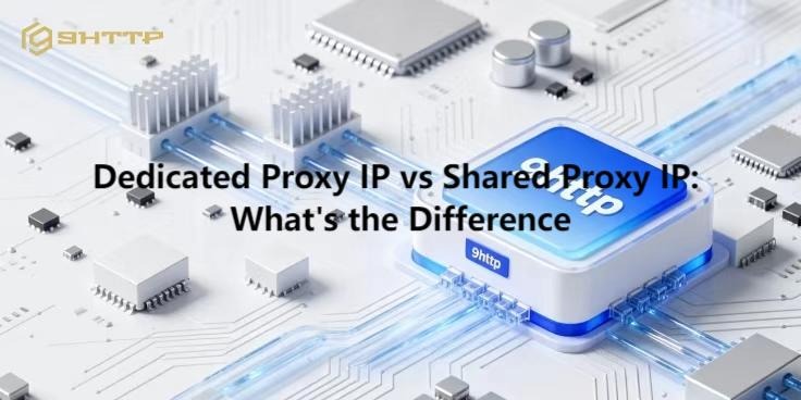 Dedicated Proxy IP vs Shared Proxy IP: What's the Difference